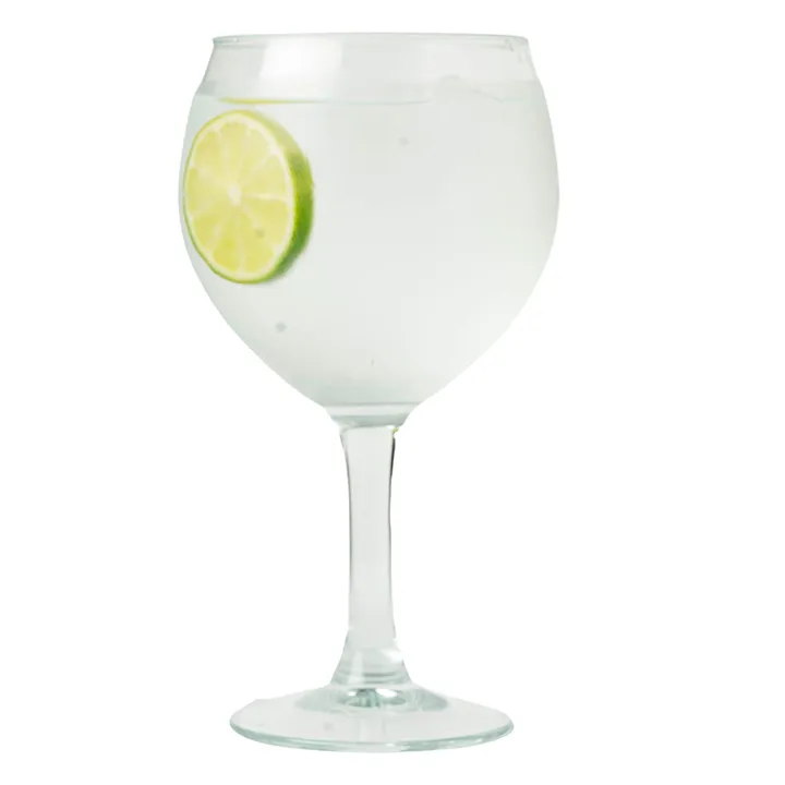 Ver foto de Absolut Vodka Tonic